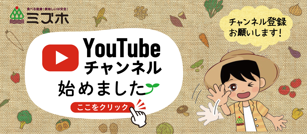 Youtubeチャンネル【ミズホMリンチャンネル】始めました。チャンネル登録おねがいします。